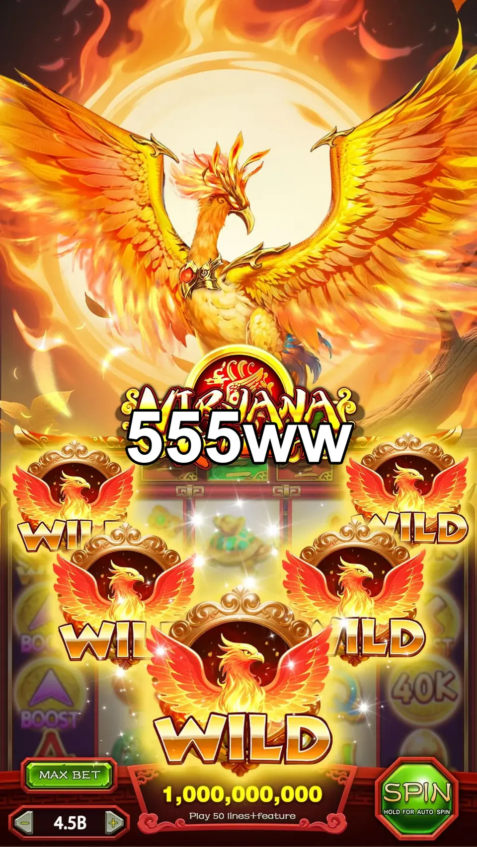 555ww লগইন